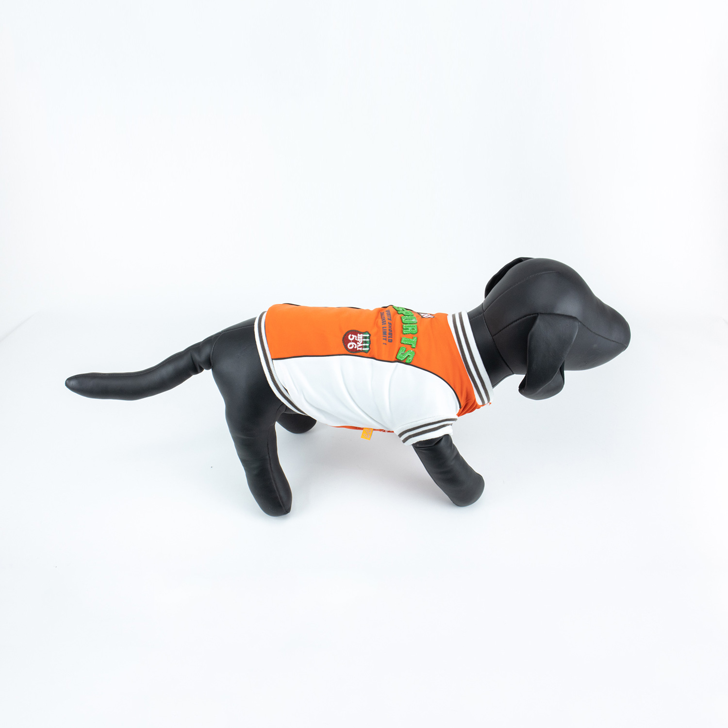 Philadelphia Flyers sports pet supplies for dogs